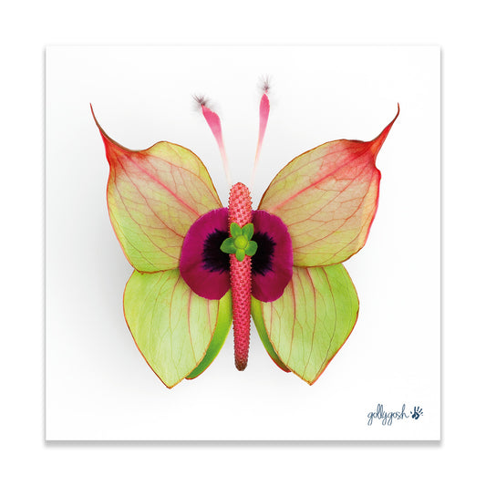 An anthurium butterfly fine art print from Golly Gosh Creations. Crafted from fresh anthurium leaves. Printed on quality white art paper. Three sizes available.
