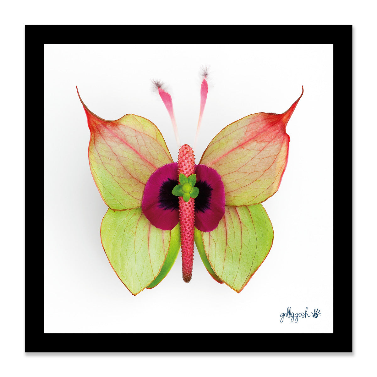 Mock up of a beautiful antihurium fine art print from Golly Gosh Creations. Three sizes available ready for framing.