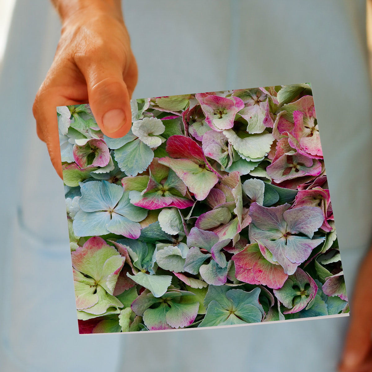 A pretty blue hydrangea petal greeting card, being held by hand. A quality greeting card found at Golly Gosh Creations.