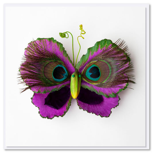 A vibrant butterfly created from cabbage leaves and peacock feathers on a white background. This quality greeting card is found at Golly Gosh Creations. Size 142 x 142 mm