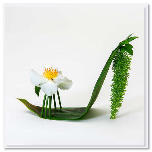 An elegant camellia stiletto shoe greeting card from Golly Gosh Creations. Created from fresh flowers on a white background. Size 142 x 142 mm