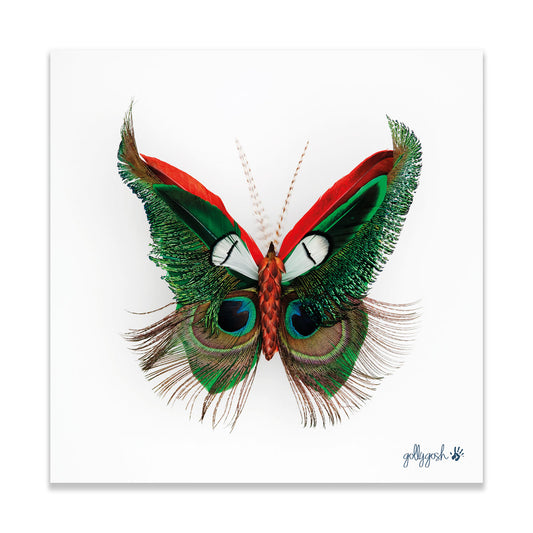 A vibrant feather butterfly fine art print from Golly Gosh Creations. Crafted from striking peacock feathers. Printed on quality white art paper. Three sizes avaiable.