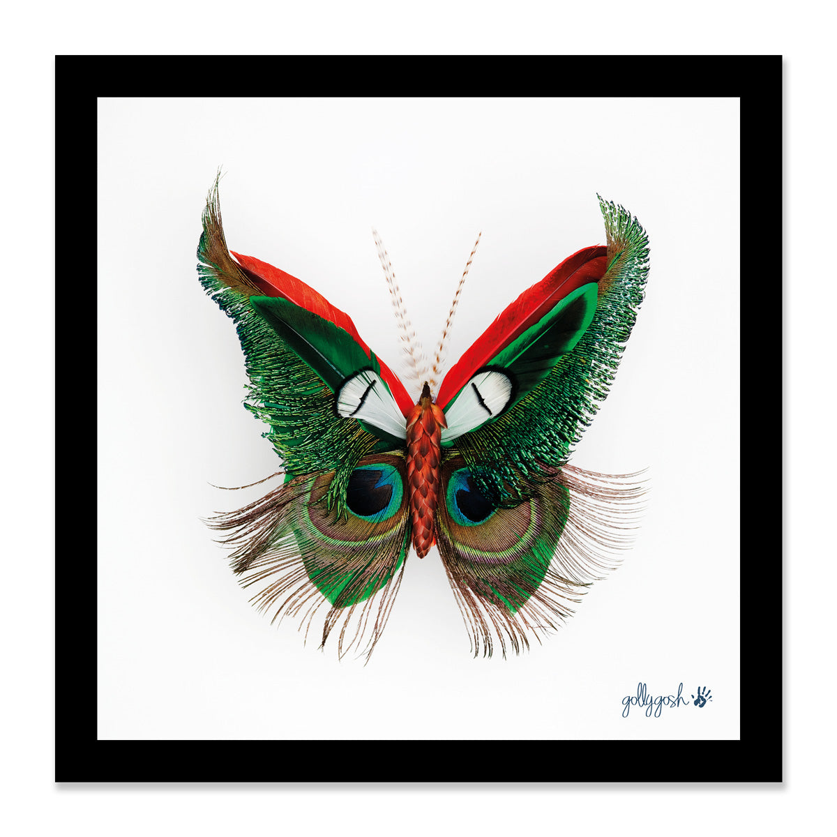 Mock up of a framed feather butterfly fine art print from Golly Gosh Creations. Available in three sizes ready for framing.