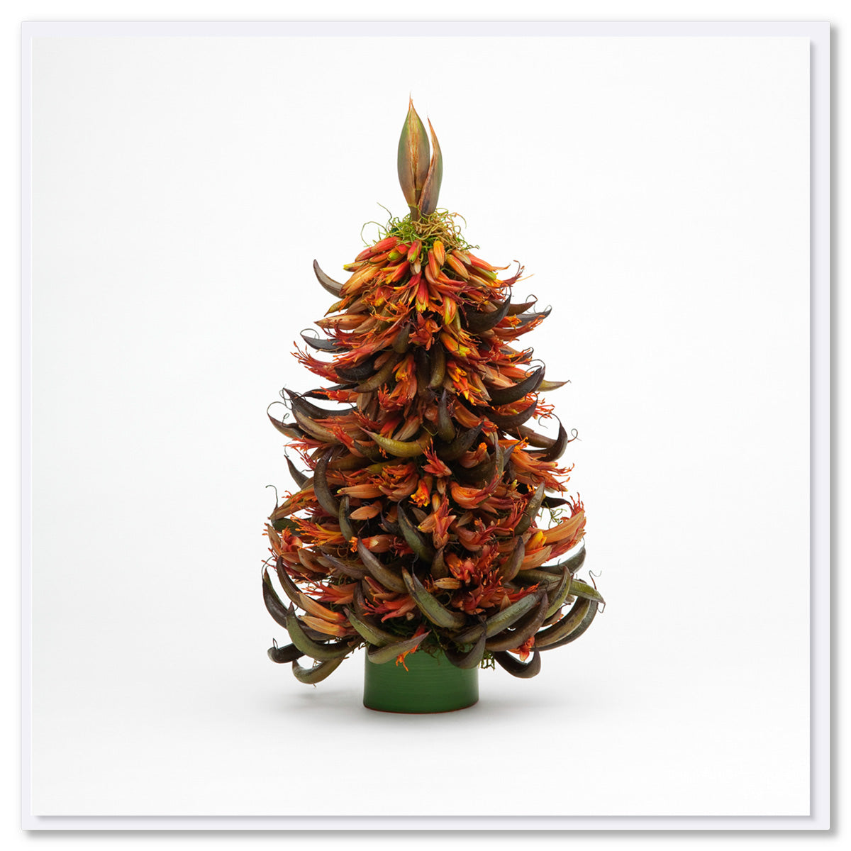 Decorative arrangement resembling a Christmas tree made from native New Zealand Flax flowers on a white background