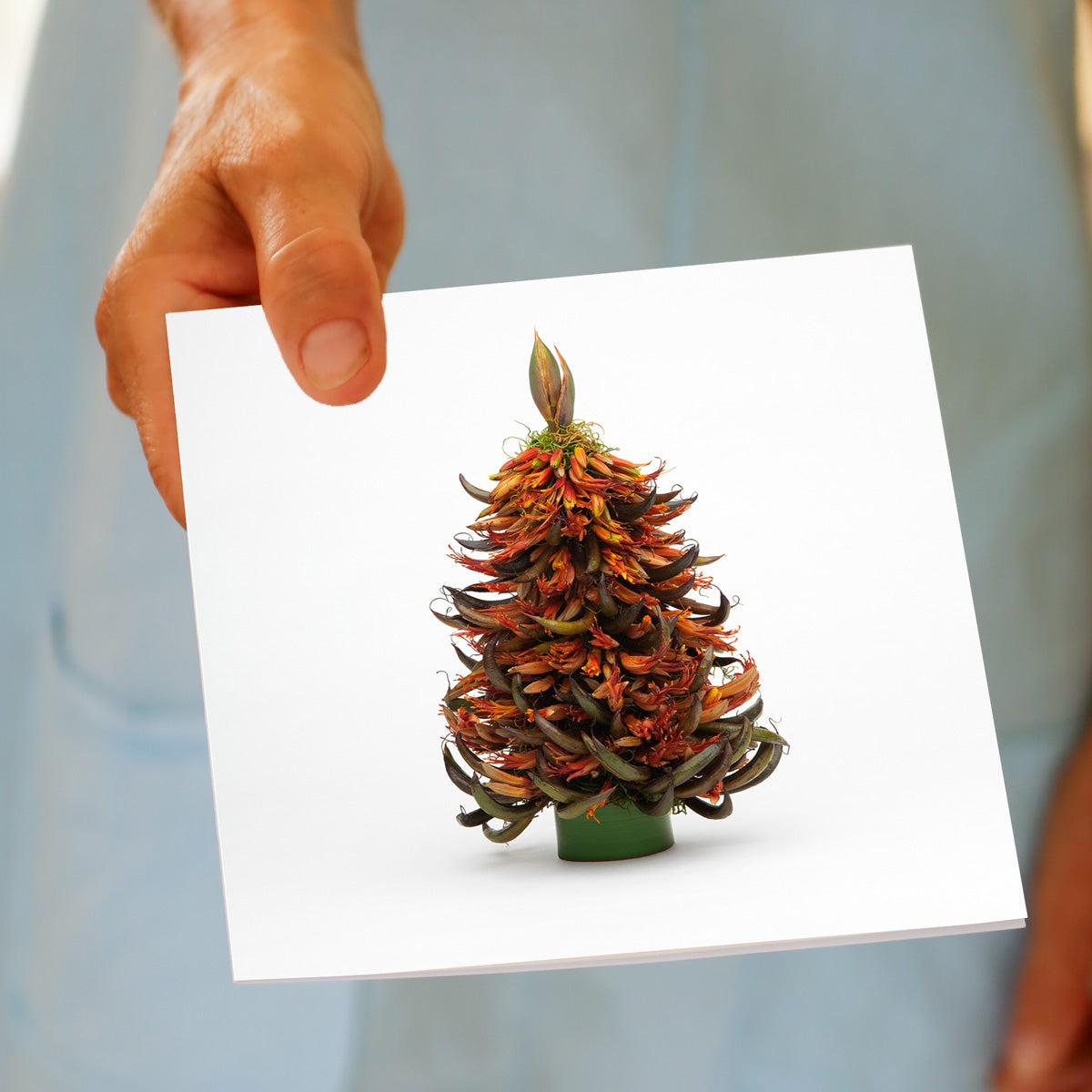 NZ flax tree Christmas greeting card held in hand, handcrafted by Golly Gosh with vibrant botanical design