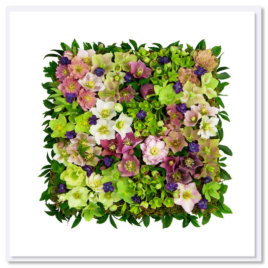 A helleborus square greeting card from Golly Gosh Creations. A beautiful tapestry arrangement of helleborus flowers.