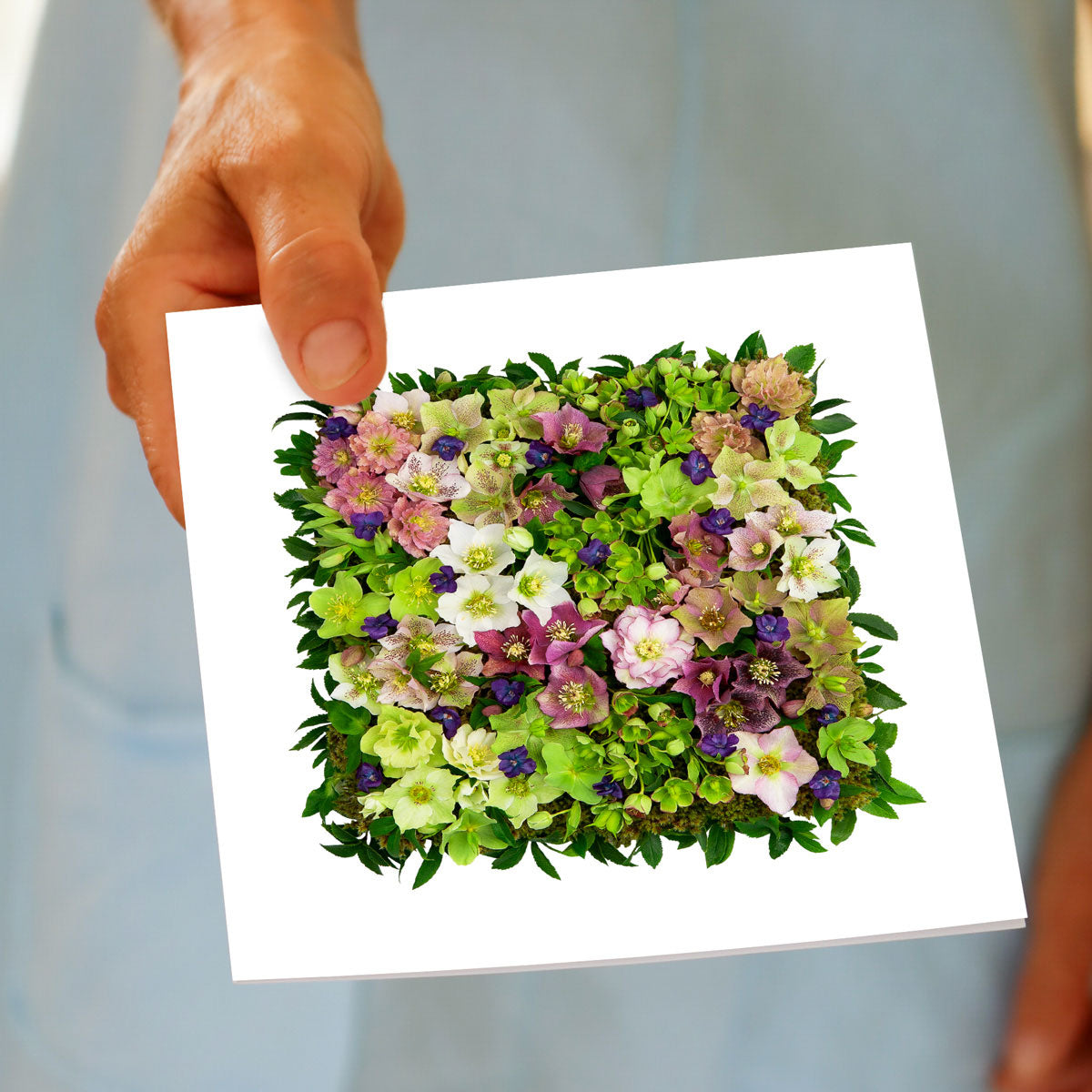 A pretty helleborus square greeting card from Golly Gosh Creations being held by hand.