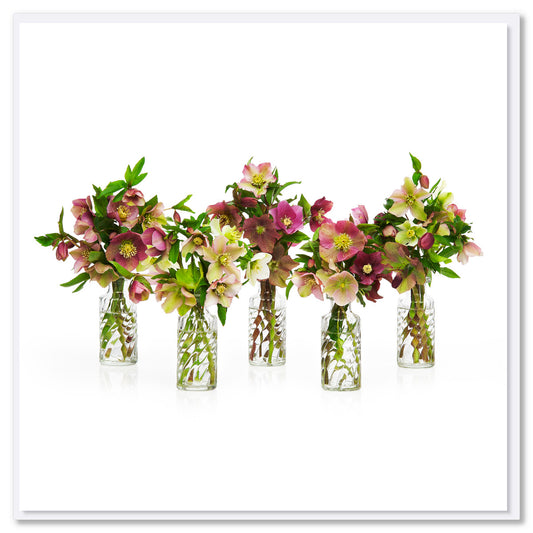 This helleborus vases greeting card is found at Golly Gosh Creations. A decorative display of helleborus flowers. Size 142 x 142 mm.