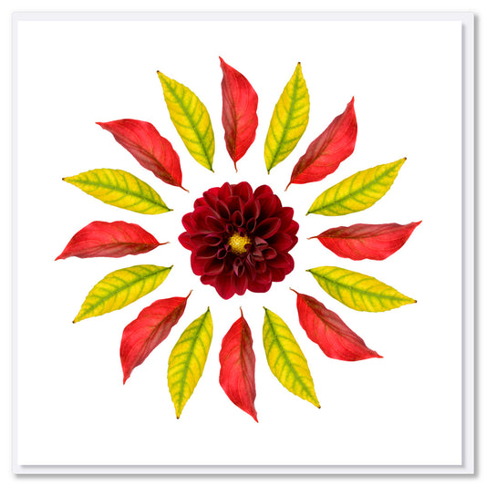 A leaf circle greeting card from Golly Gosh Creations. Size 142 x 142 mm. Created from a rich dahlia flower surrounded by vibrant autumn leaves .