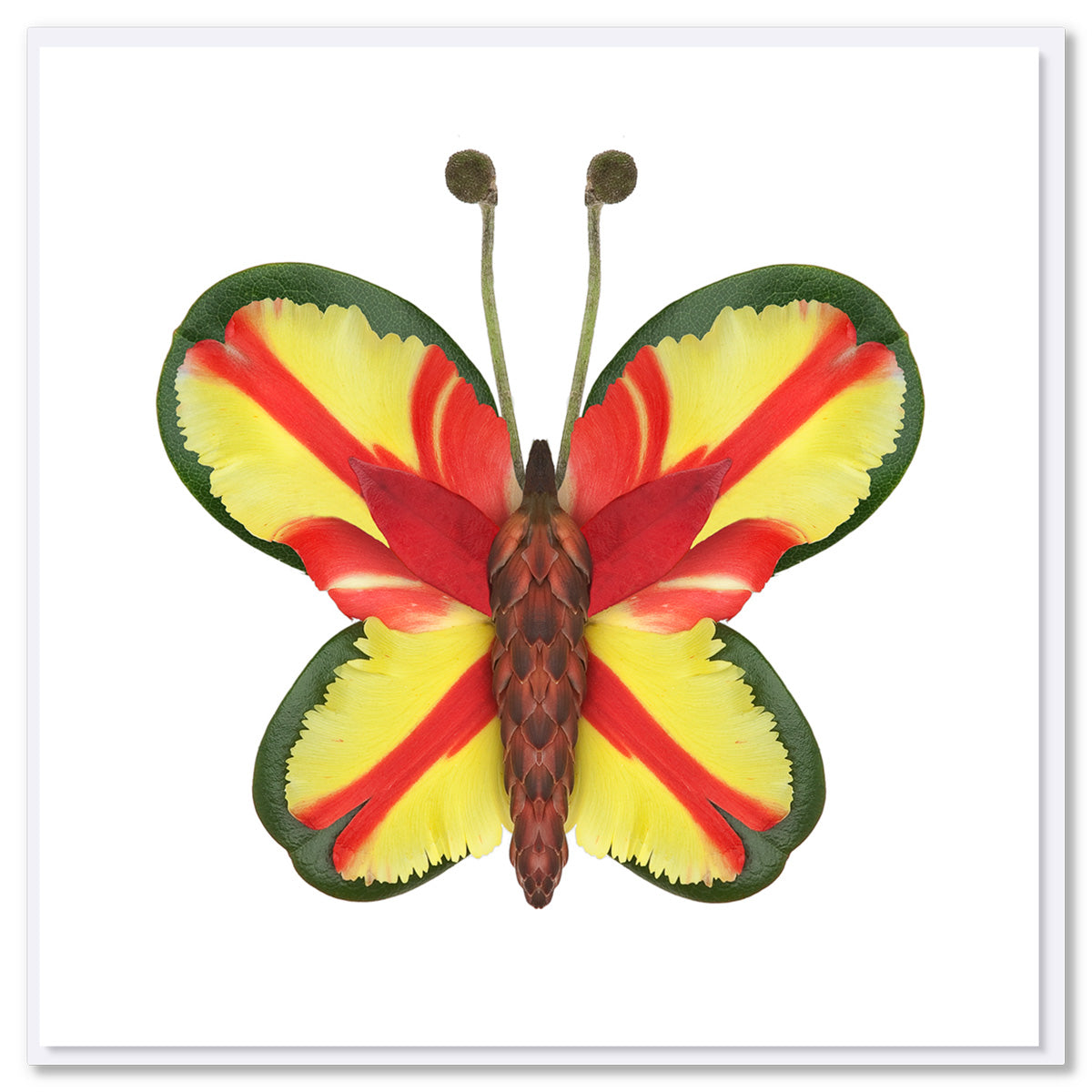 Floral butterfly with yellow and red petal wings edged in green, textured brown body, and stem antennae on white background.