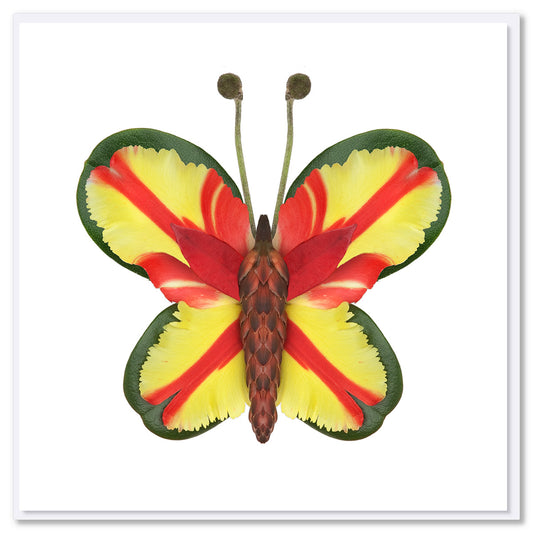 Floral butterfly with yellow and red petal wings edged in green, textured brown body, and stem antennae on white background.
