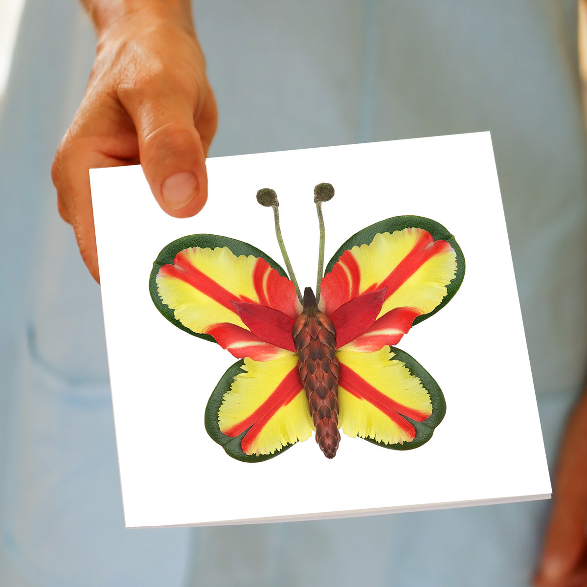 Hand holding Parrot Tulip Butterfly greeting card featuring colorful floral butterfly with yellow, red, and green petal wings.