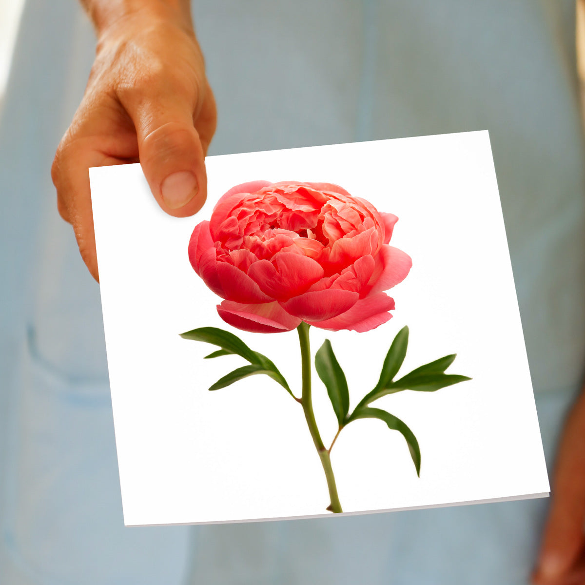 A peony flower greeting card being held by hand. A generous square card with a vibrant coral peony flower.