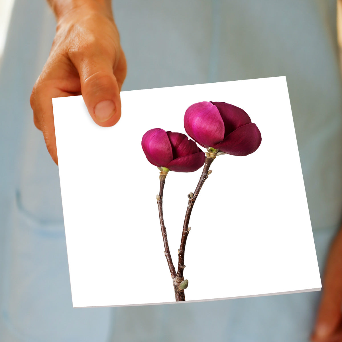 This peony stems greeting card from golly Gosh Creations is being held by hand. Size 142 x 142 mm. A quality card with luscious deep pink peony stems.