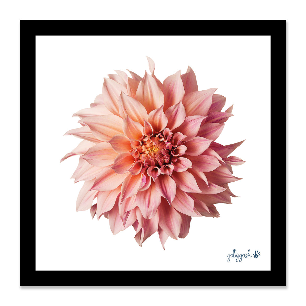 Mock up of a framed pink dahlia flower fine art print from Golly Gosh Creations. Available in three sizes ready for framing.