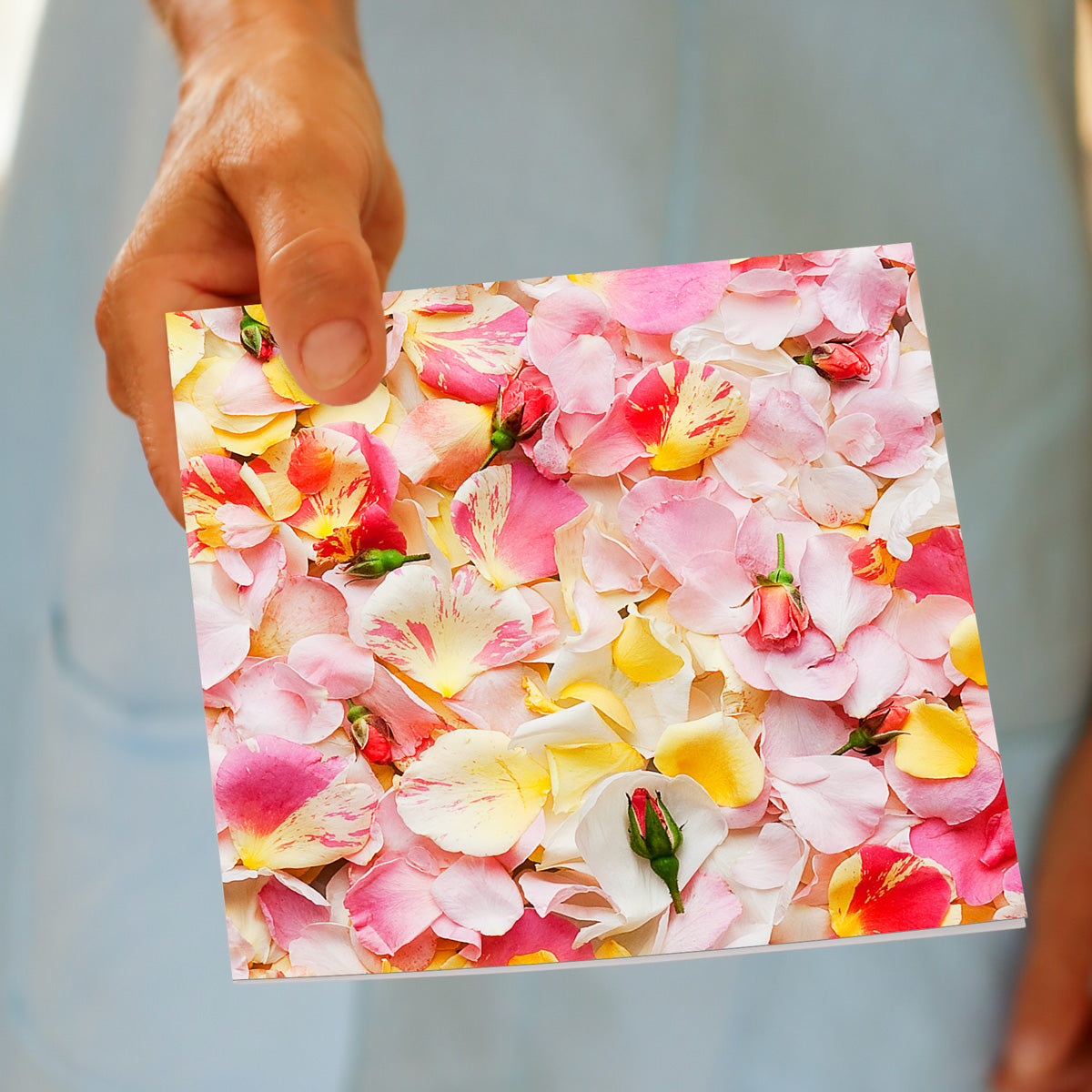 This pink rose petals greeting card from Golly Gosh Creations is being hand held. A beautiful arrangement of pink rose petals and buds. Size 142 x 142 mm.