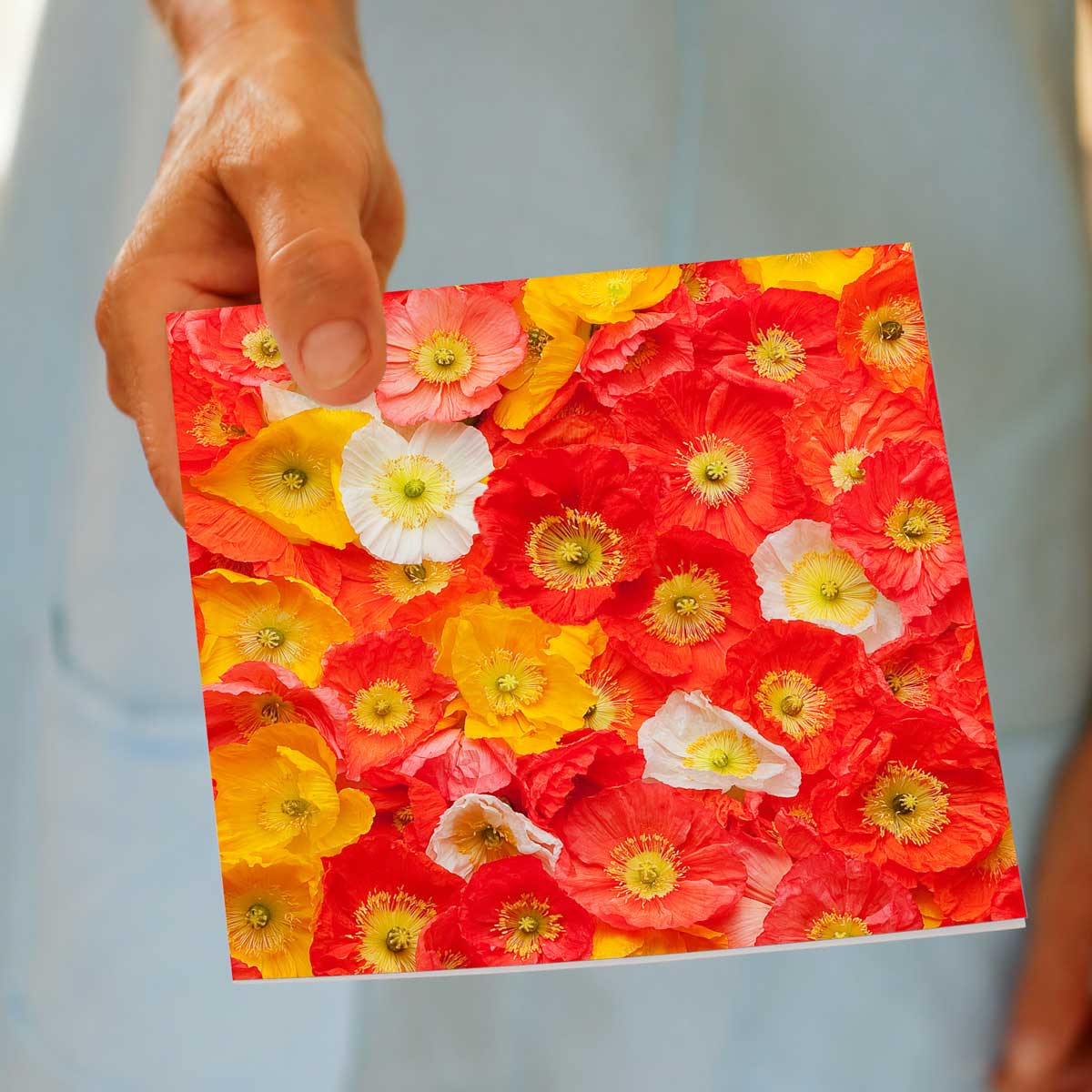 A hand held poppies greeting card from Golly Gosh Creations. Size 142 x 142 mm. A stunning arrangement of vibrant orange and yellow poppies.