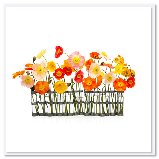 A poppies vases greeting card from Golly Gosh Creations. Size 142 x 142 mm. A colourful arrangement of wild poppies displayed in a quirky glass jug.