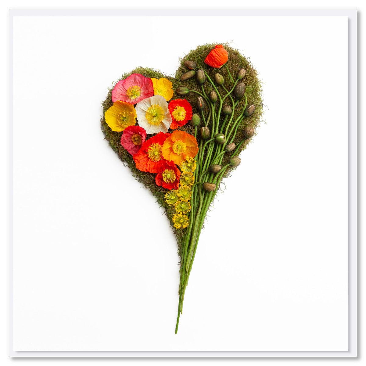 A poppy heart greeting card from Golly Gosh Creations. Size 142 x 142 mm. Crafted from a heart of moss adorned with vibrant wild poppies and buds.