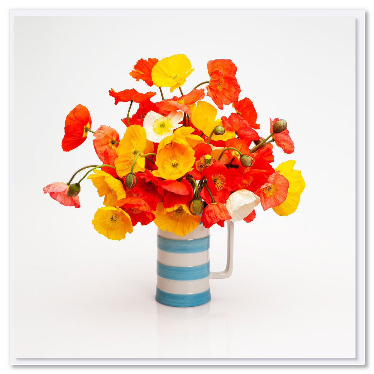 A poppy jug greeting card found at Golly Gosh Creations. A delightful display of vibrant wild poppies in a classic blue and white jug. Size 142 x 142 mm