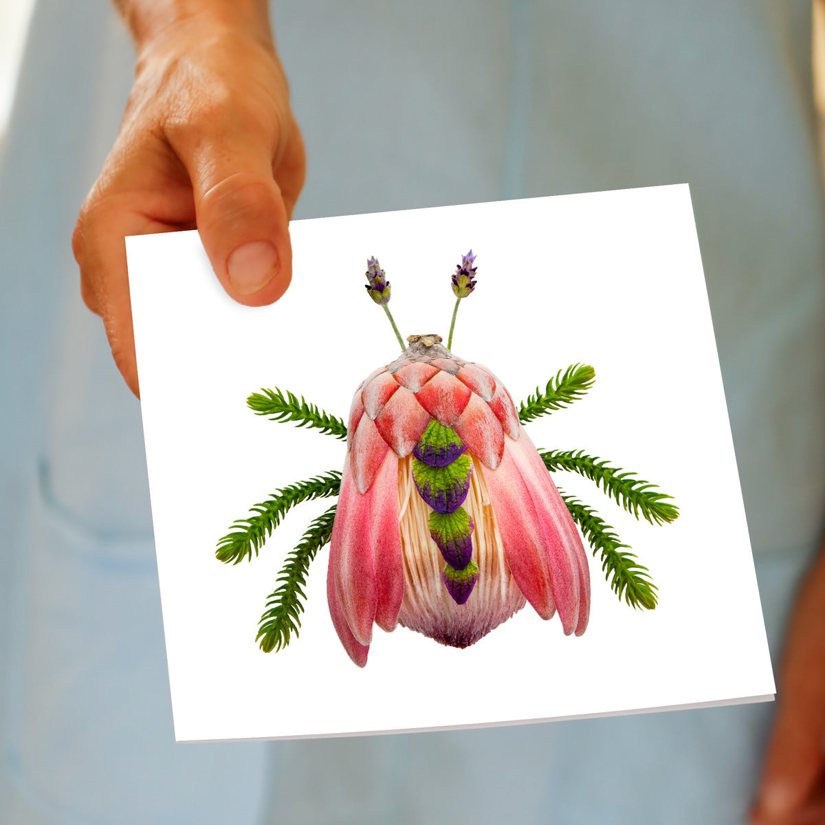 A hand held protea bug greeting card by Golly Gosh Creations. A generous square card created from a pretty pink king protea flower and elongated leaves.