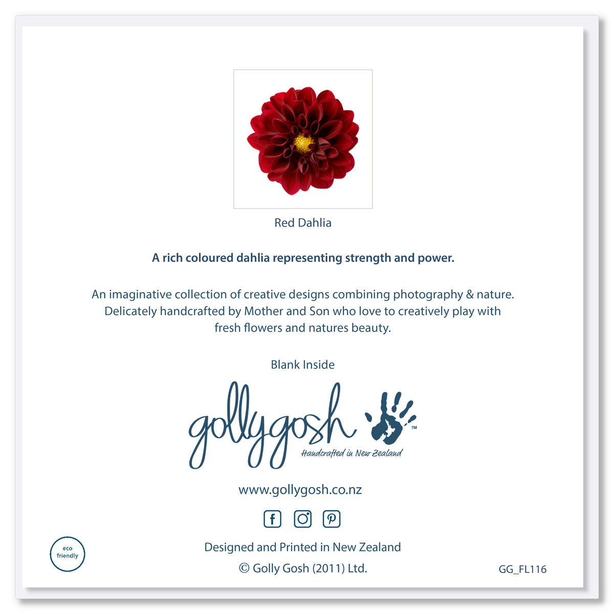 Back cover of a red dahlia flower form Golly Gosh Creations. Size 142 x 142 mm. An alluring deep red flower on a white background.