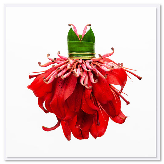 A red lily petal dress by Golly Gosh Creations. This generous square card is created from vibrant cascading lily petals and stamens.