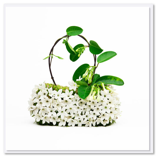 A stephanotis bag greeting card from Golly Gosh Creations. Created from stunning stephanotis blossoms on a white background. Size 142 x 142 mm.