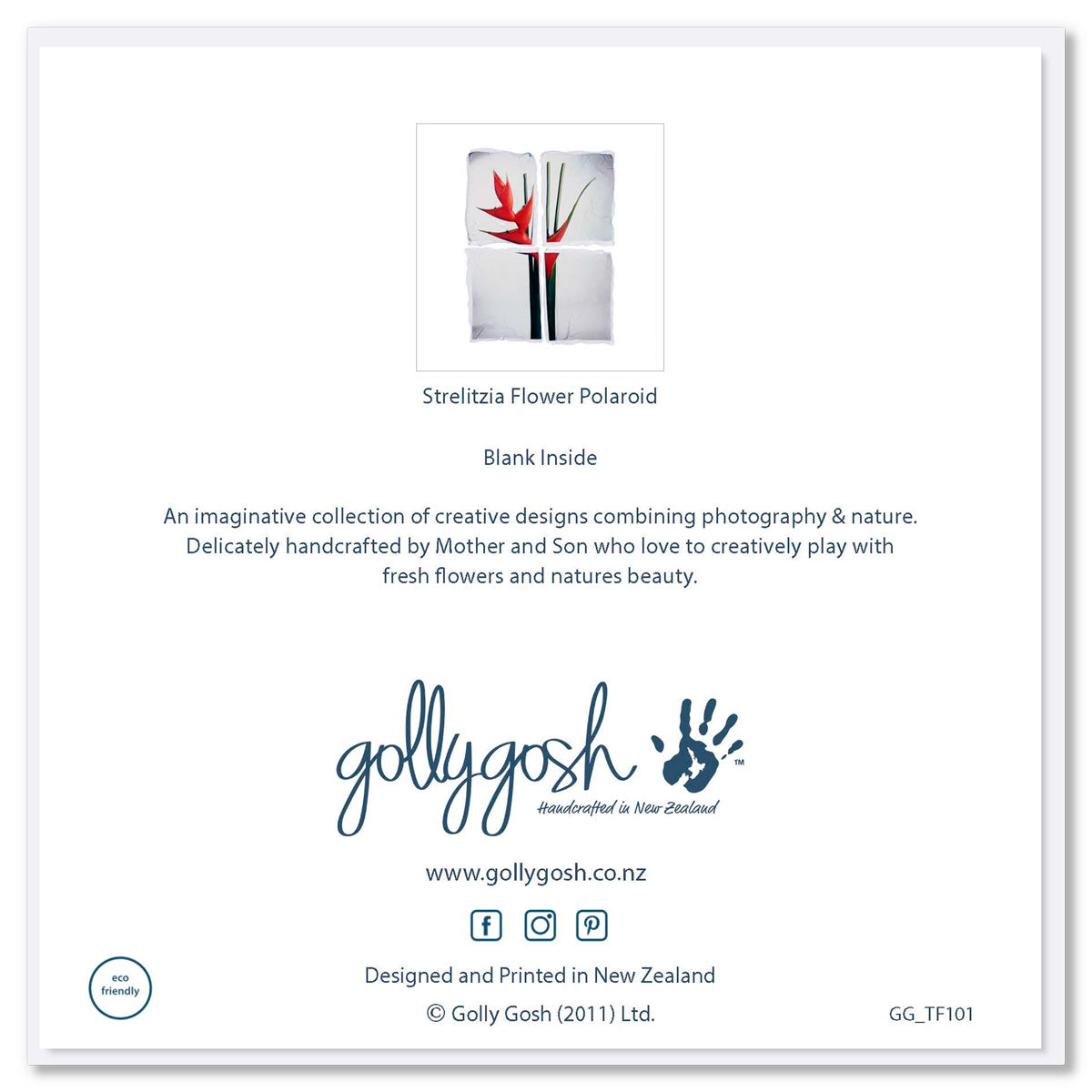 Back of a red strelitzia polaroid greeting card by Golly Gosh Creations. Size 142 x 142 mm