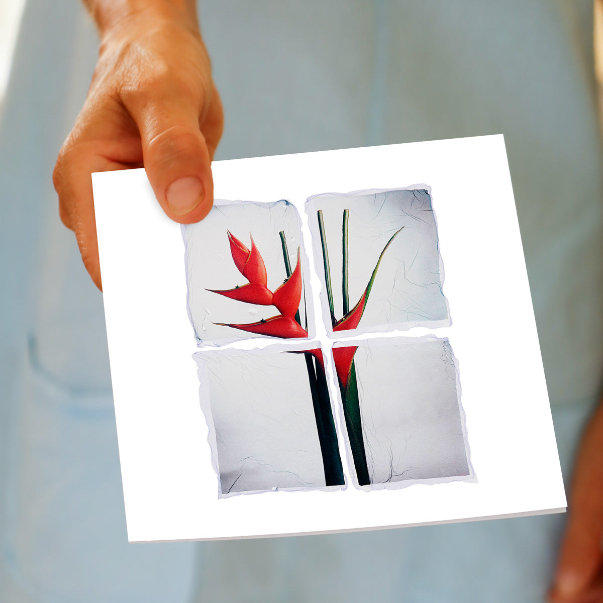 A hand held strelitzia polaroid greeting card from Golly Gosh Creations. This square card is created using a sophisticated polaroid emuslion lift.