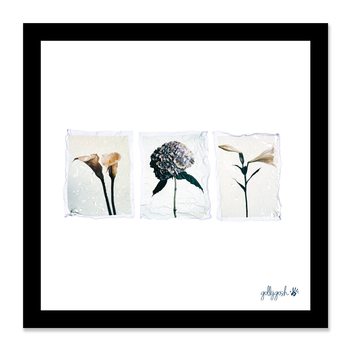 Mock up of a framed triple flower polaroid fine art print from Golly Gosh Creations. Available in three sizes ready for framing.
