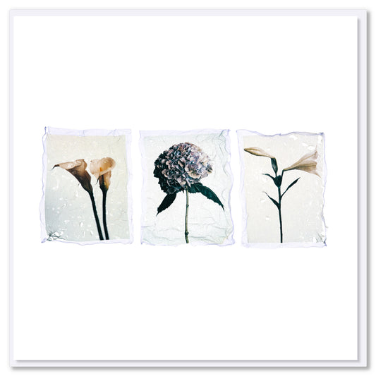A triple flower polaroid greeting card found at Golly Gosh Creations.  A quality square card utilising the refined technique of Polaroid emulsion lift.