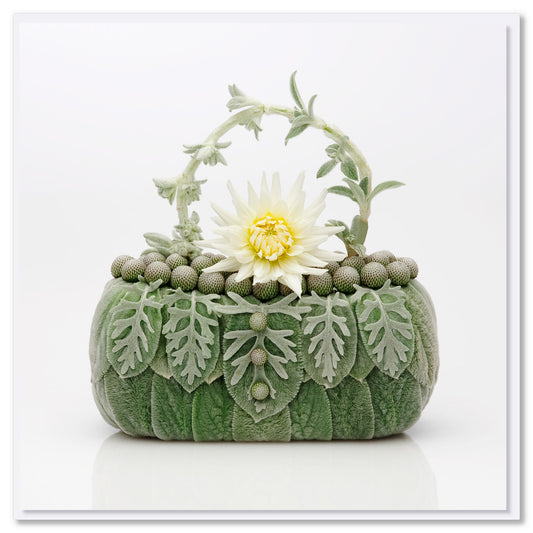 A white dahlia bag greeting card from Golly Gosh Creations. Crafted with a beautiful white dahlia bloom and velvety lambs ear petals. Size 142 x 142 mm.