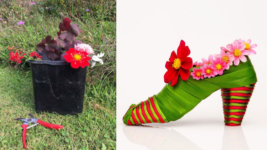 Unveiling the Magic:  Dahlia Shoe