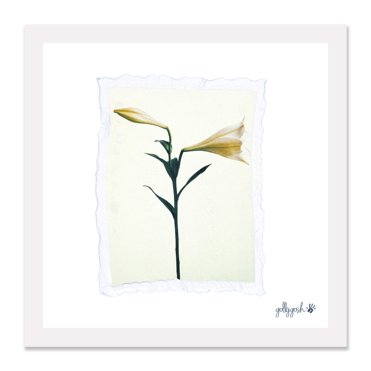 Lily Polaroid Fine Art Print