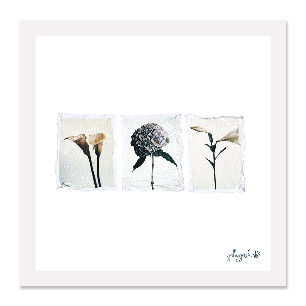 Triple Flower Polaroid Fine Art Print