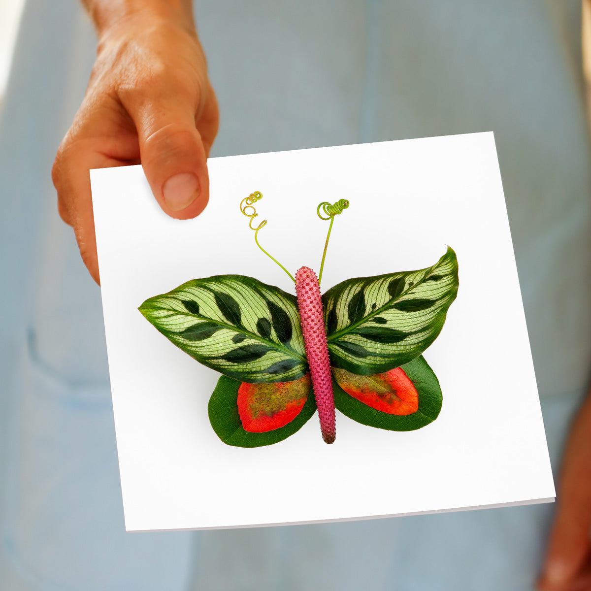 Peacock Leaf Butterfly Greeting Card