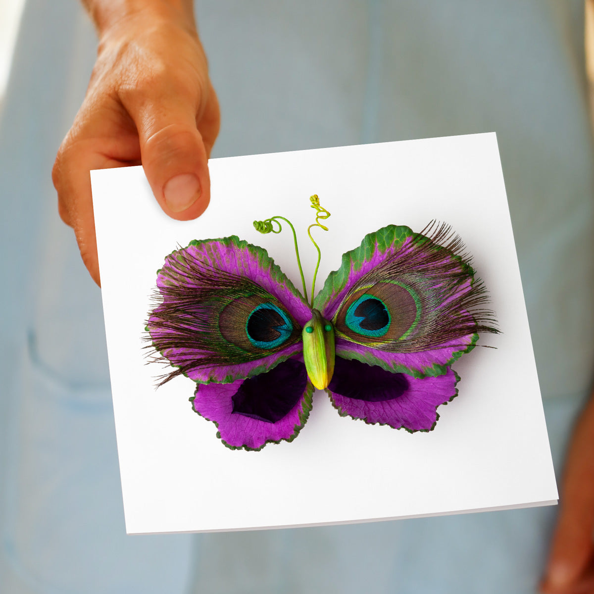 Cabbage Leaf Butterfly Greeting Card