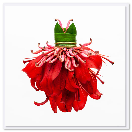 Red Lily Petal Dress Greeting Card