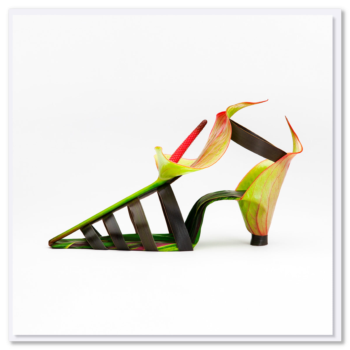 An elegant anthurium flower sandal greeting card from Golly Gosh Creations. Created from fresh flowers on a white background. Size 142 x 142 mm