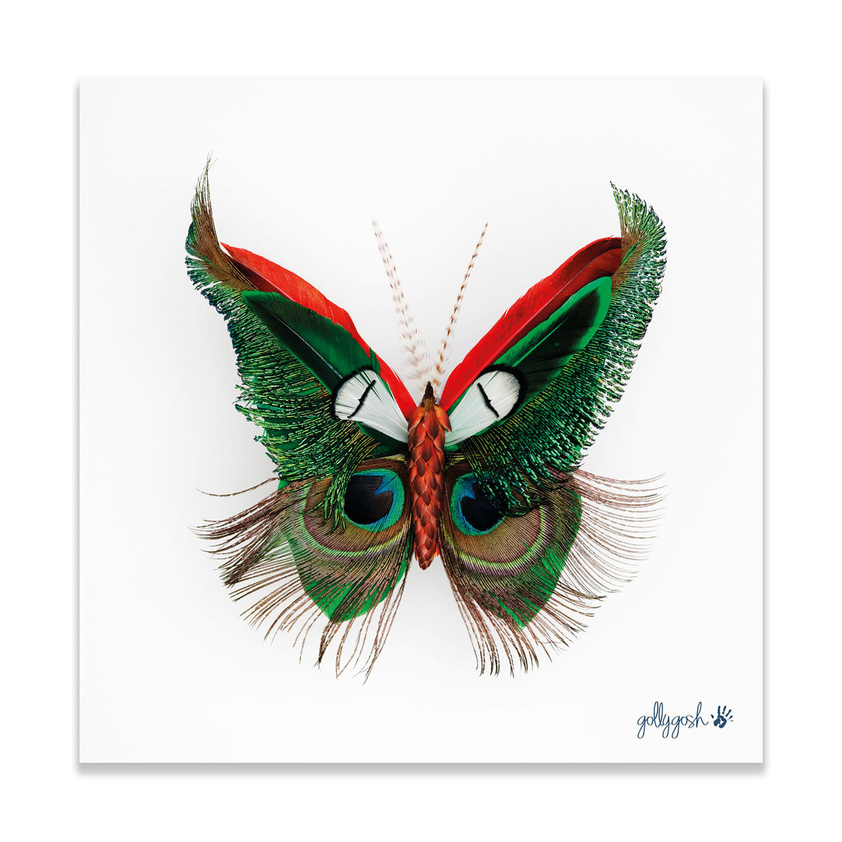 A vibrant feather butterfly fine art print from Golly Gosh Creations. Crafted from striking peacock feathers. Printed on quality white art paper. Three sizes avaiable.