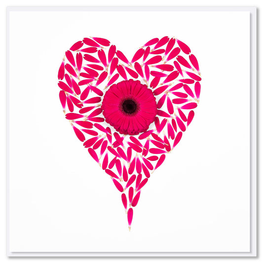 A quality square gerbera heart greeting card found at Golly Gosh Creations. Created from vibrant pink gerbera  petals and flower.