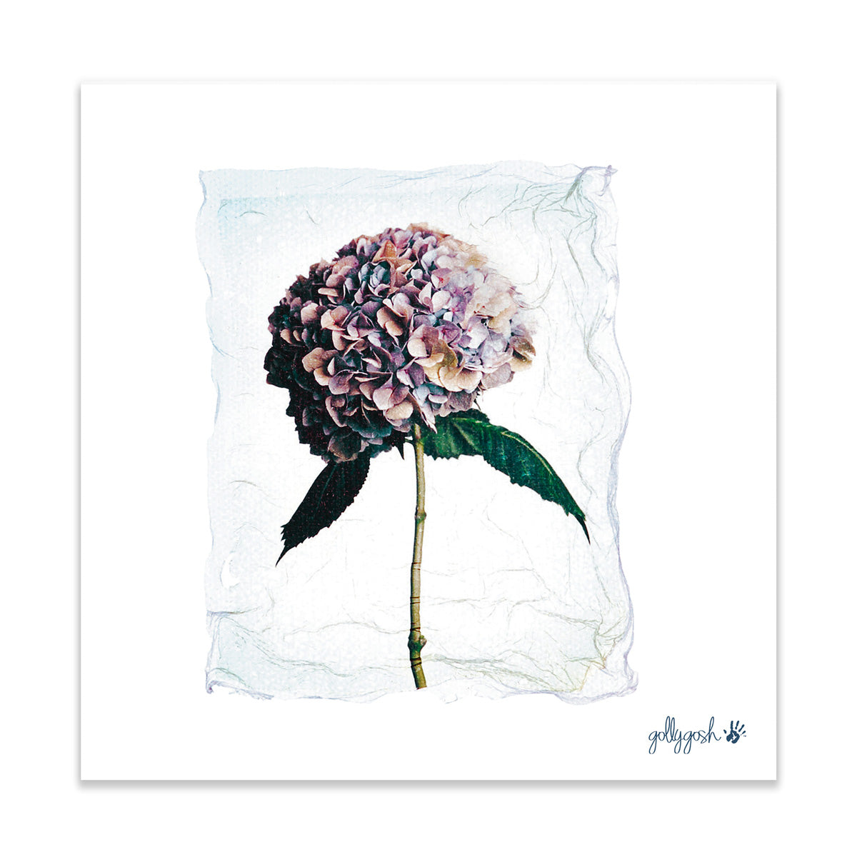 A hydrangea polaroid fine art print from Golly Gosh Creations.  Printed on quality white art paper. Three sizes available.