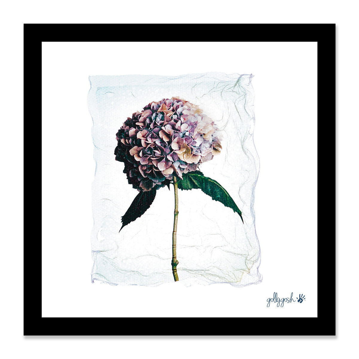 Mock up of a framed hydrangea polaroid fine art print from Golly Gosh Creations. Available in three sizes ready for framing. 