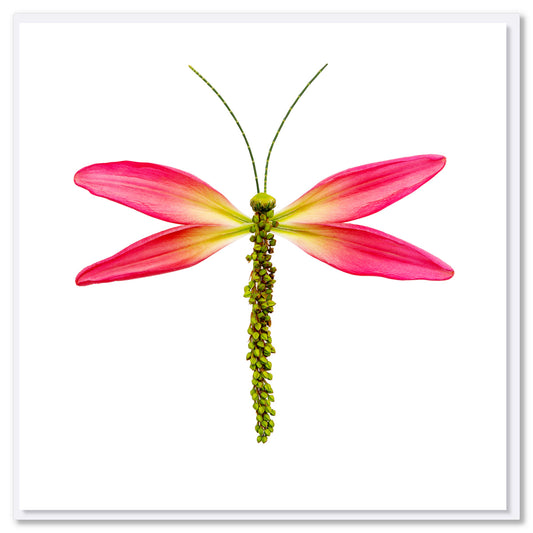 A pretty lily dragonfly greeting card from Golly Gosh Creations. Size 142 x 142 mm. Created from fresh colourful pink lily leaves.