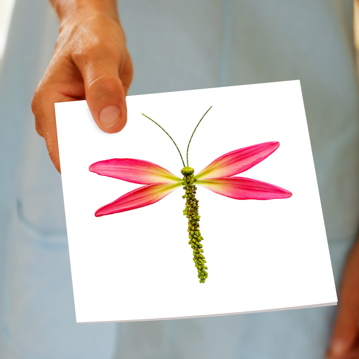 A hand held lily dragonfly greeting card found at Golly Gosh Creations. A generous quality square card created from fresh pink lily leaves