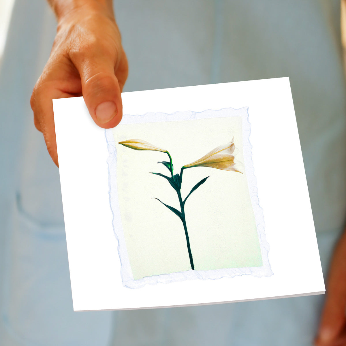 A hand held lily polaroid greeting card from Golly Gosh Creations. Size 142 x 142. Has a unique polaroid emulsion lift technique of a white lily.