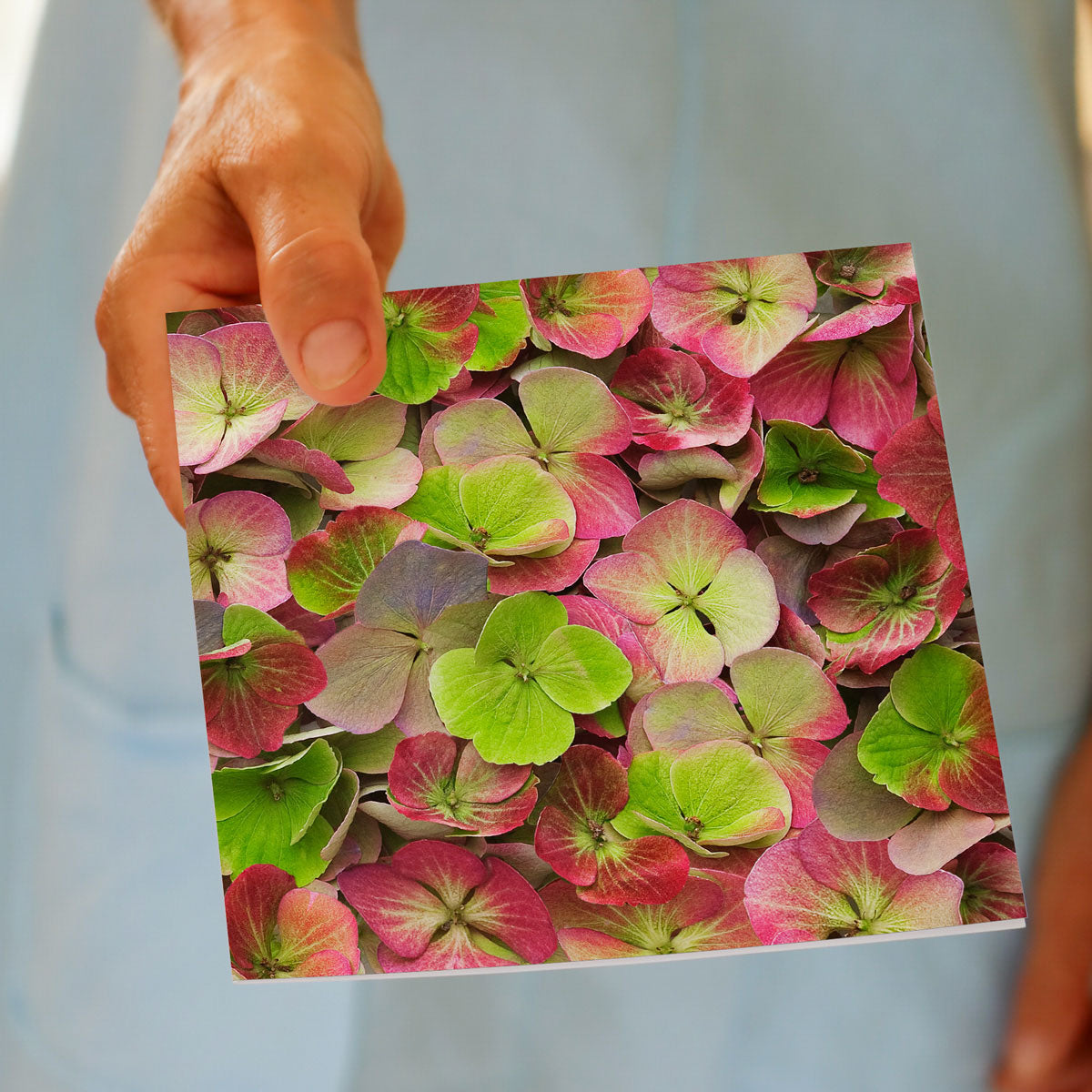 A lime hydrangea petals greeting card from Golly Gosh Creations, being held by hand. A delightful arrangement of spring blooms. Size 142 x 142 mm