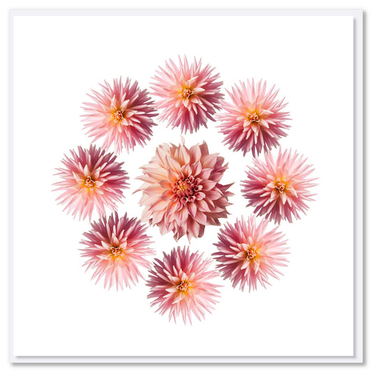 A pink dahlia circle greeting card from Golly Gosh Creations. Size 142 x 142 mm. This pretty card has a circle of breathtaking soft pink dahlias.