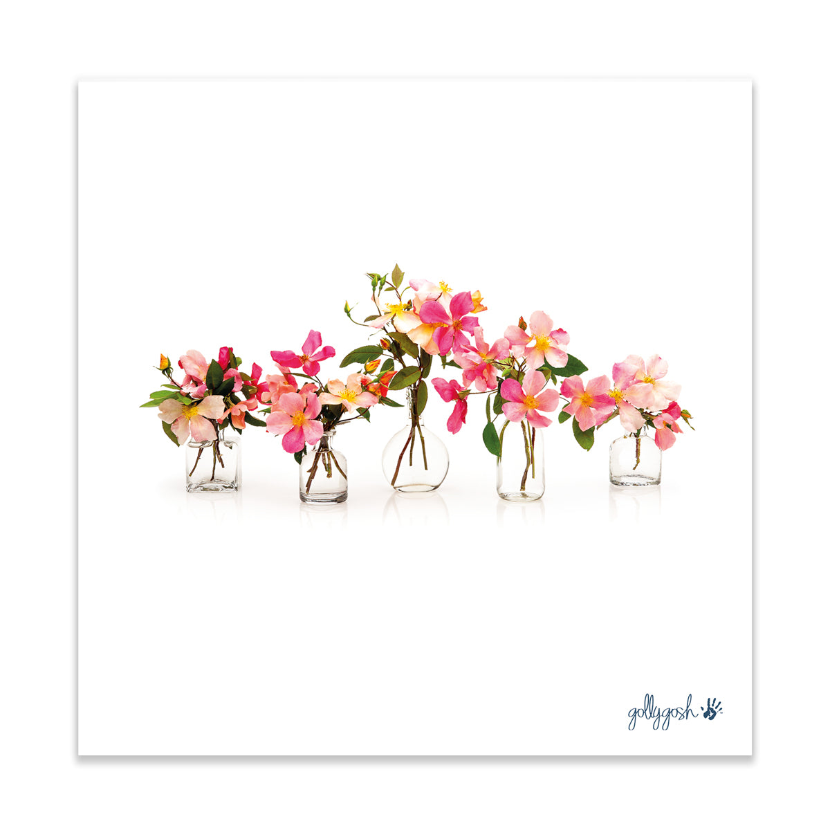 A pink rose vases fine art print from Golly Gosh Creations. A pretty arrangement of dainty roses. Printed on quality white art paper. Three sizes available.